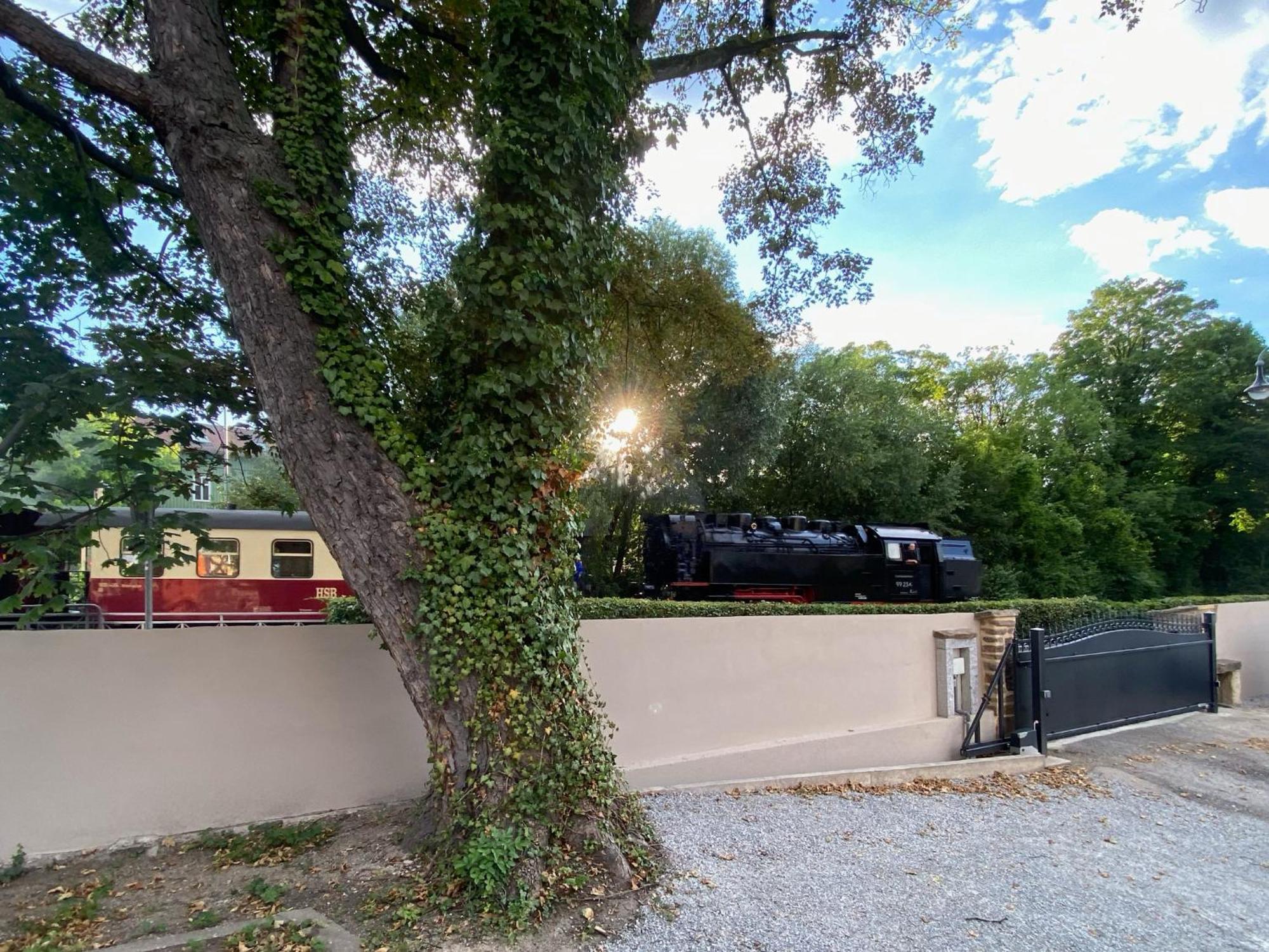 Harztraeume No1 # Parkplatz # Altstadt # Brockenbahn 韦尼格罗德 外观 照片